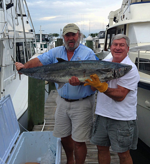 The Office Offshore Fishing Charters, Fort Pierce Capt
